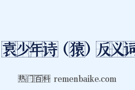 袁少年诗（猿）反义词是什么意思的图片